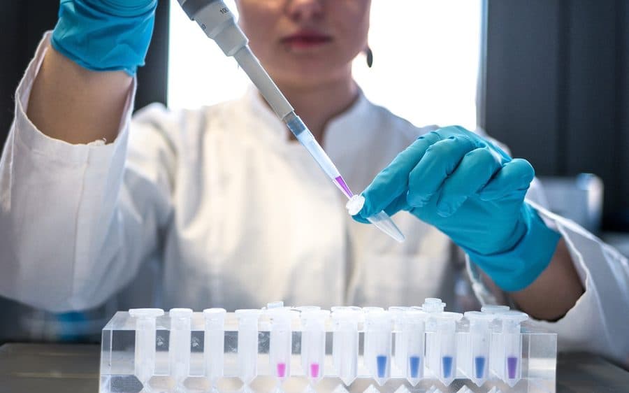 Laboratory staff pipetting samples into test tubes